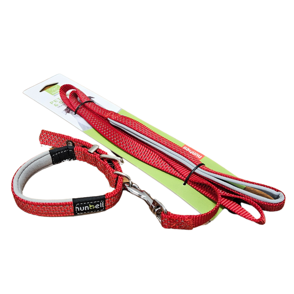 Pet Leash & Collar Set