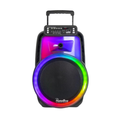 HomeBoss CH-1206 15-inch portable Bluetooth party speaker with LED lights